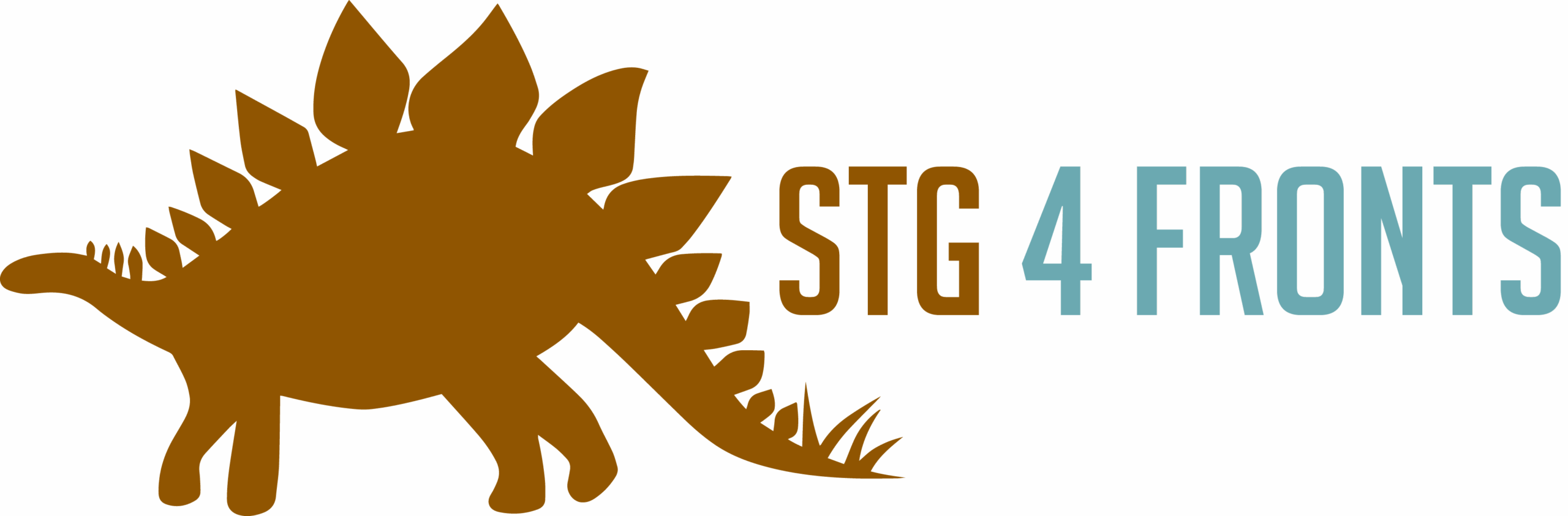 STG 4 Fronts